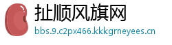 扯顺风旗网